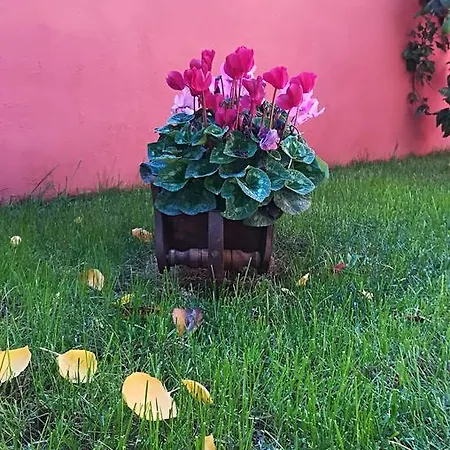 Il Viandante